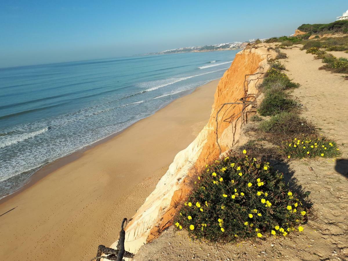 Apartamento Albufeira 6 B المظهر الخارجي الصورة
