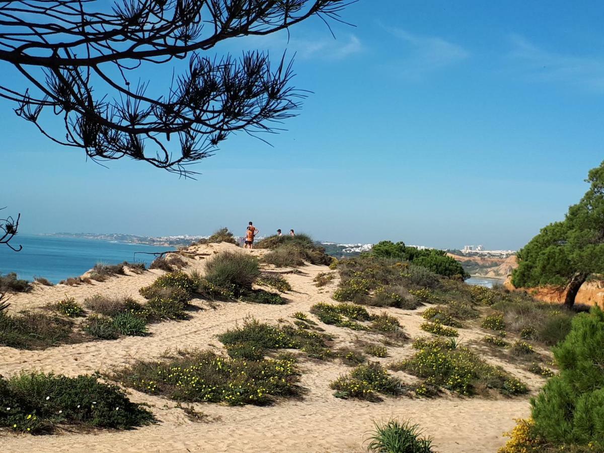 Apartamento Albufeira 6 B المظهر الخارجي الصورة